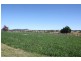 Tenterfield NSW 2372