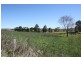 Tenterfield NSW 2372