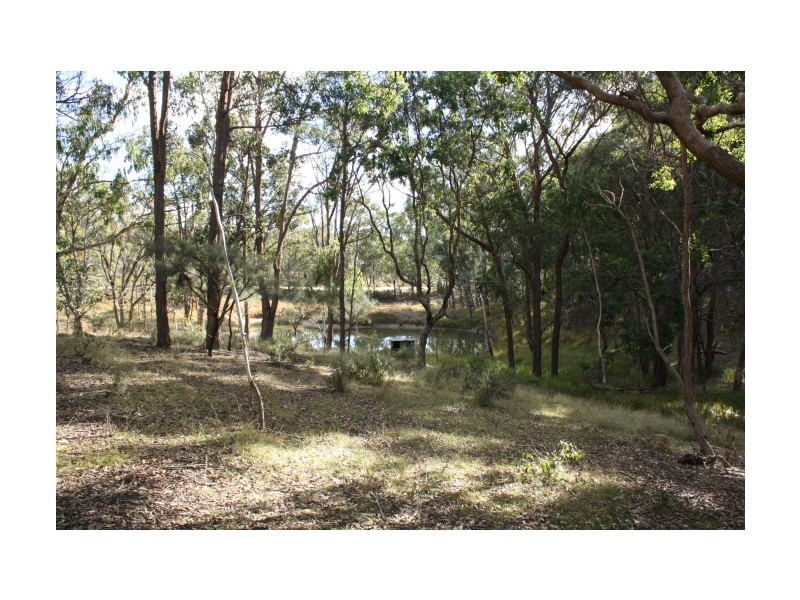 Tenterfield NSW 2372