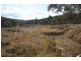 Tenterfield NSW 2372