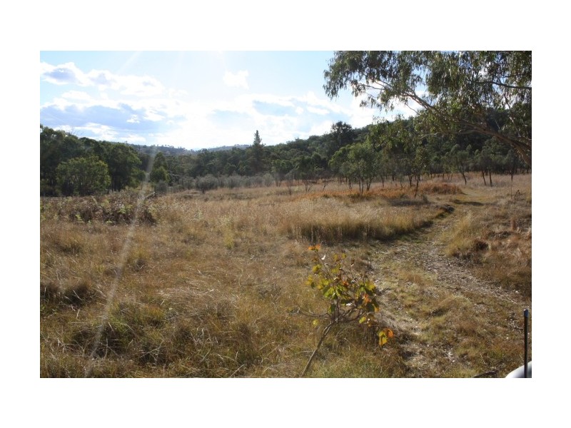 Tenterfield NSW 2372
