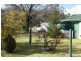 Tenterfield NSW 2372