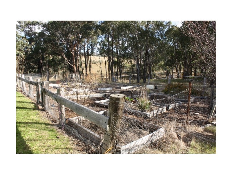 Tenterfield NSW 2372