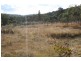 Tenterfield NSW 2372