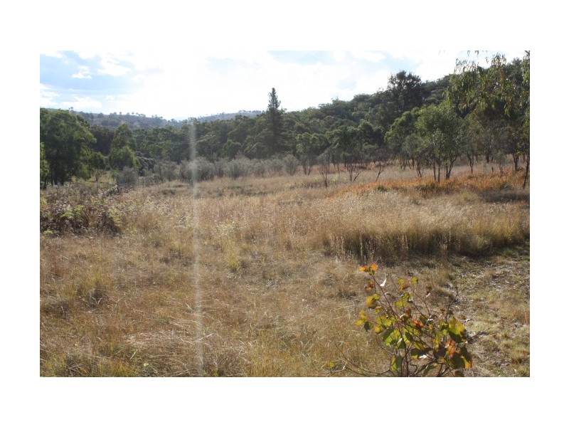 Tenterfield NSW 2372