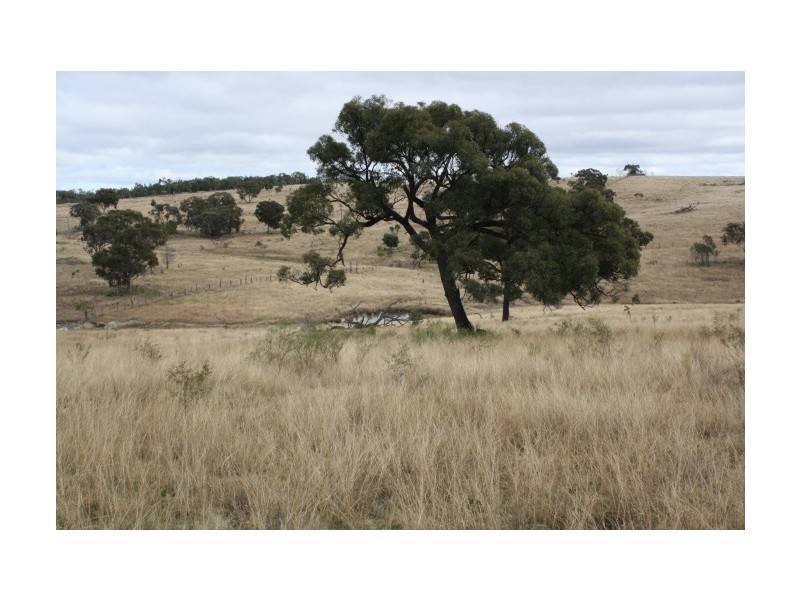 Tenterfield NSW 2372