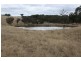 Tenterfield NSW 2372