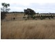 Tenterfield NSW 2372
