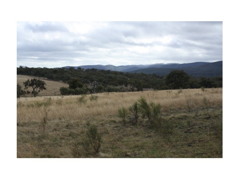 Tenterfield NSW 2372