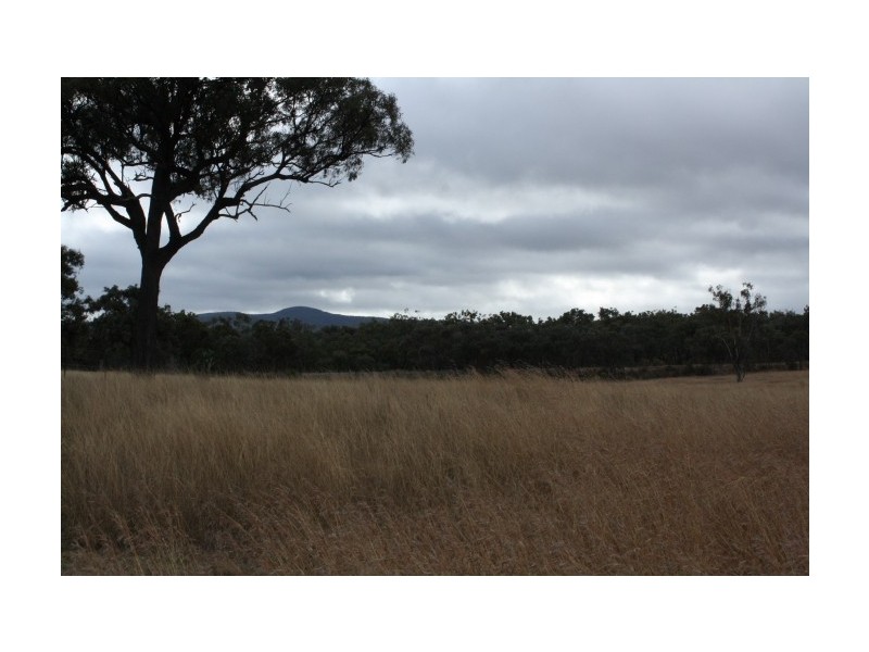 Tenterfield NSW 2372