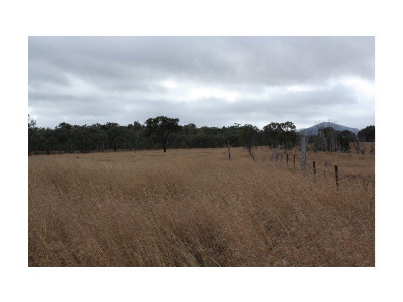 Tenterfield NSW 2372