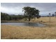 Tenterfield NSW 2372
