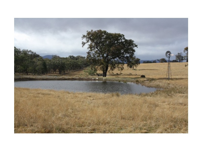 Tenterfield NSW 2372