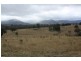 Tenterfield NSW 2372