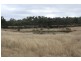Tenterfield NSW 2372