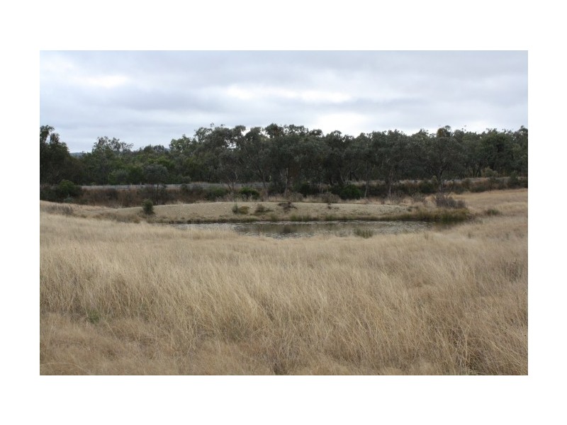 Tenterfield NSW 2372