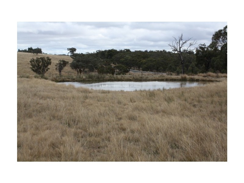 Tenterfield NSW 2372