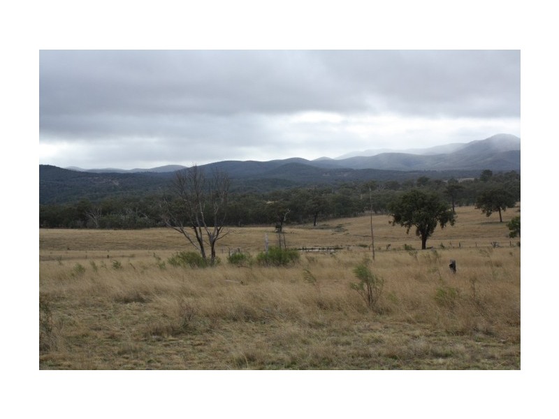 Tenterfield NSW 2372