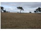 Tenterfield NSW 2372