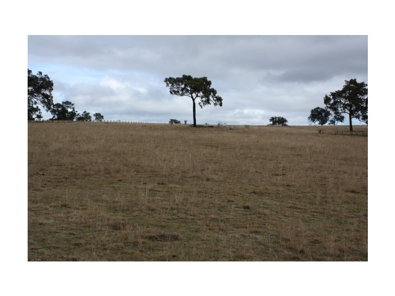Tenterfield NSW 2372