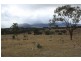 Tenterfield NSW 2372