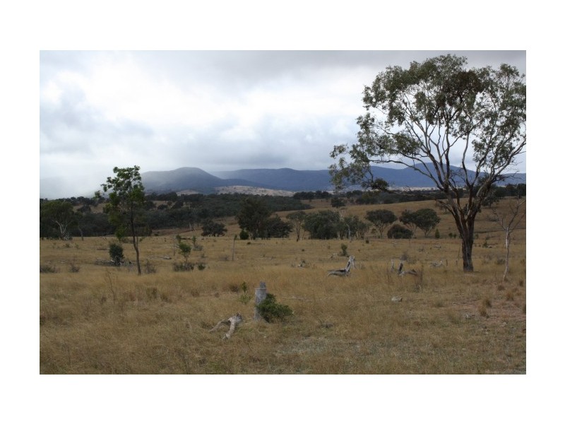 Tenterfield NSW 2372