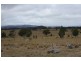 Tenterfield NSW 2372