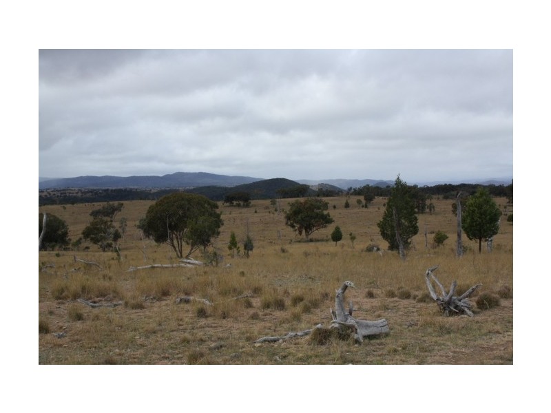 Tenterfield NSW 2372