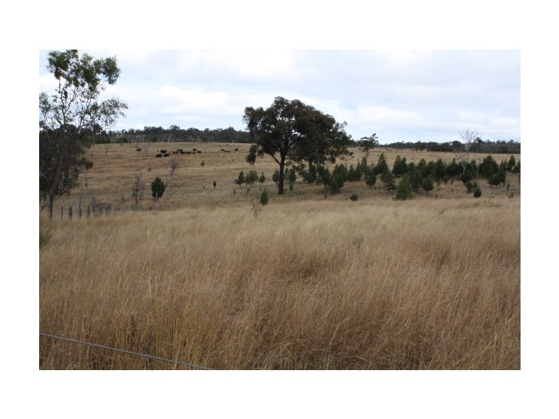 Tenterfield NSW 2372