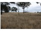 Tenterfield NSW 2372