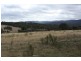 Tenterfield NSW 2372
