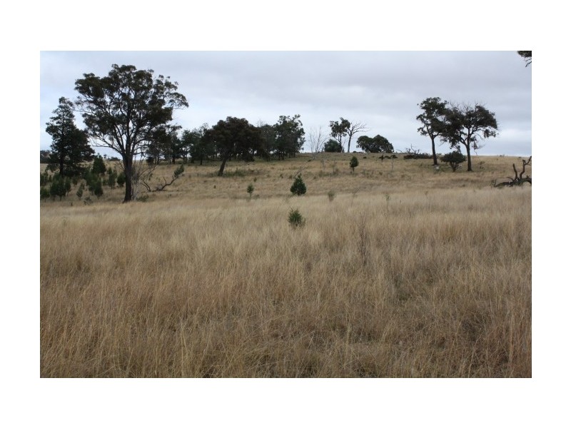 Tenterfield NSW 2372