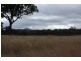 Tenterfield NSW 2372