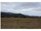 Tenterfield NSW 2372