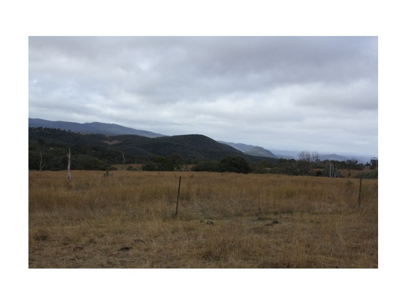 Tenterfield NSW 2372