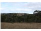 Tenterfield NSW 2372