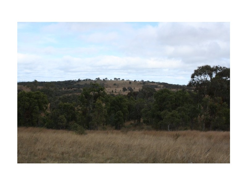 Tenterfield NSW 2372