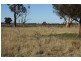 Deepwater NSW 2371