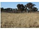 Deepwater NSW 2371