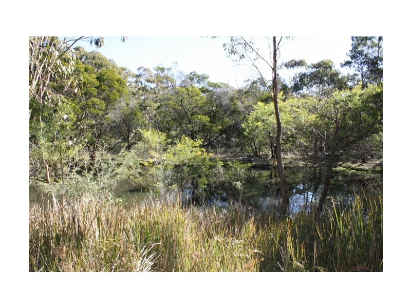 Tenterfield NSW 2372