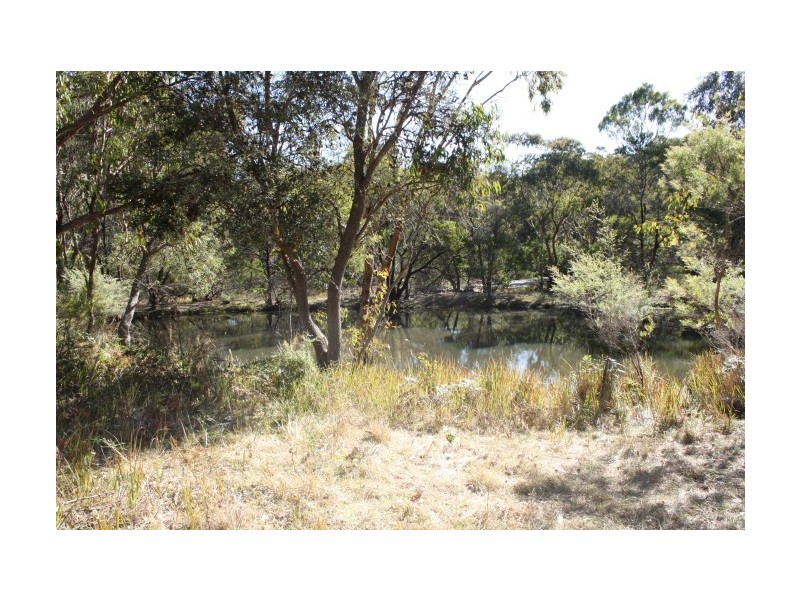 Tenterfield NSW 2372