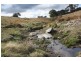 Tenterfield NSW 2372