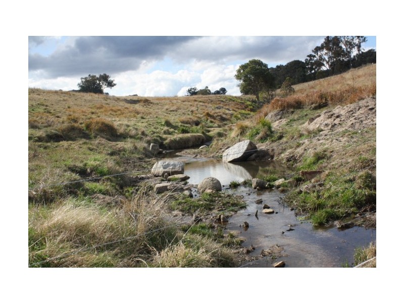 Tenterfield NSW 2372