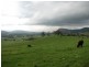 Tenterfield NSW 2372