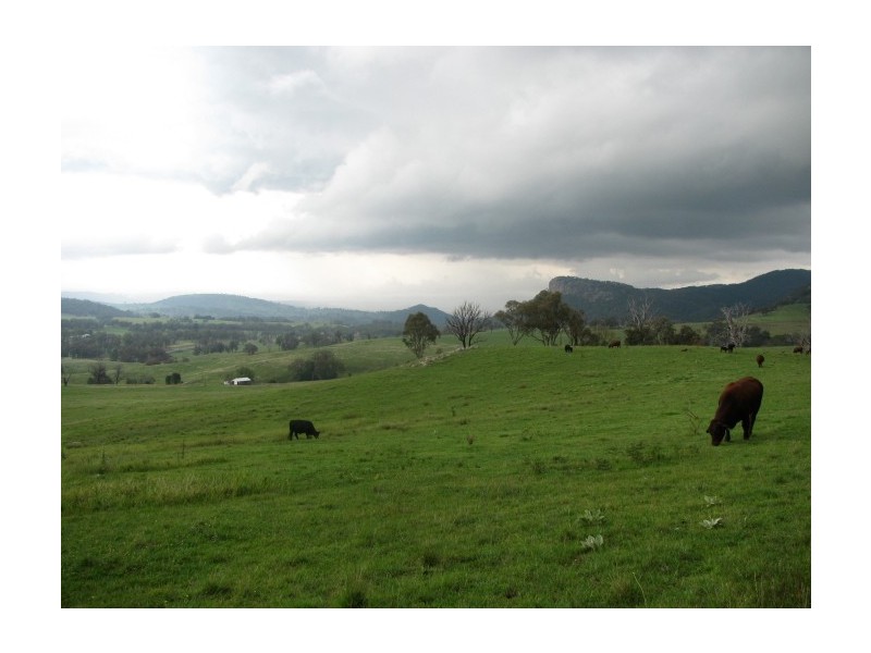 Tenterfield NSW 2372