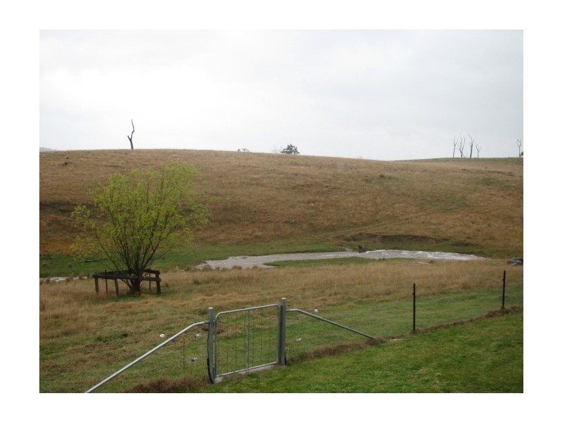 Tenterfield NSW 2372