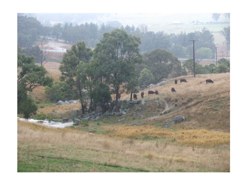 Tenterfield NSW 2372