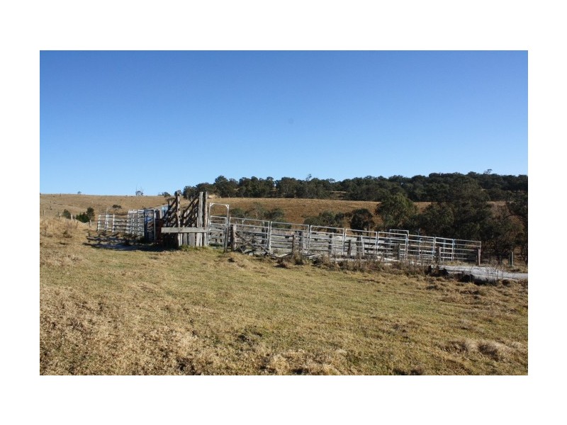 Tenterfield NSW 2372