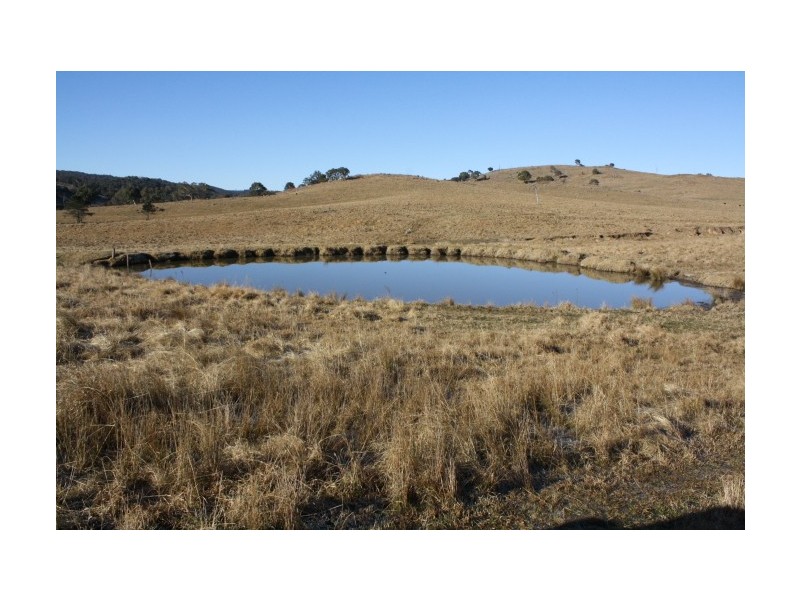 Tenterfield NSW 2372