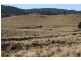 Tenterfield NSW 2372